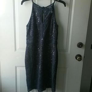 NW Sequined Lace w/ nude underlay Dress